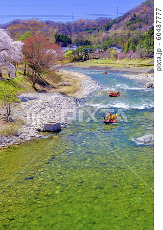 桜咲く利根川とラフティング（縦） 60487777