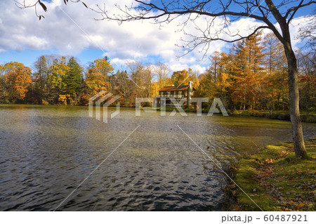 紅葉の塩沢湖　遠景の睡鳩荘 60487921