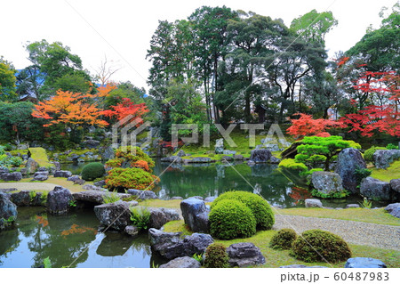 醍醐寺 三宝院 紅葉 60487983