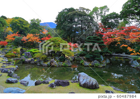 醍醐寺 三宝院 紅葉 60487984