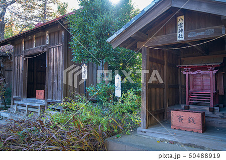 長宮氷川神社　境内　神社　　埼玉県ふじみ野市 60488919