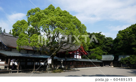 日本の 旅行 風景 60489195