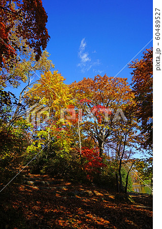 北海道 函館 大沼湖畔 北海道 函館 大沼湖畔 60489527