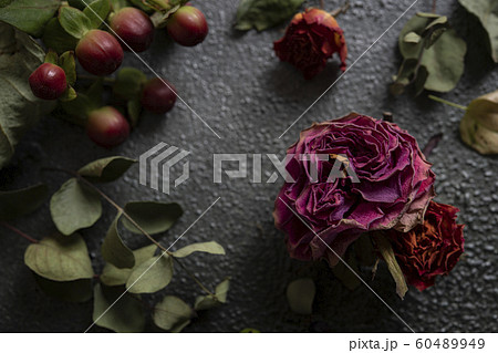 ドライフラワー 薔薇 ユーカリ ヒペリカム の写真素材