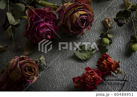 ドライフラワー 薔薇 ユーカリ ヒペリカム の写真素材