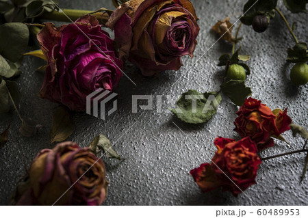 ドライフラワー 薔薇 ユーカリ ヒペリカム の写真素材 ドライフラワー 薔薇 ユーカリ ヒペリカム の写真素材