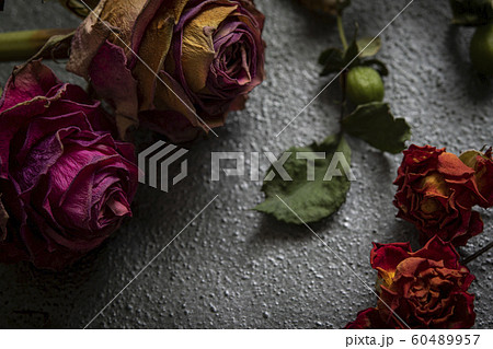 ドライフラワー 薔薇 ユーカリ ヒペリカム の写真素材