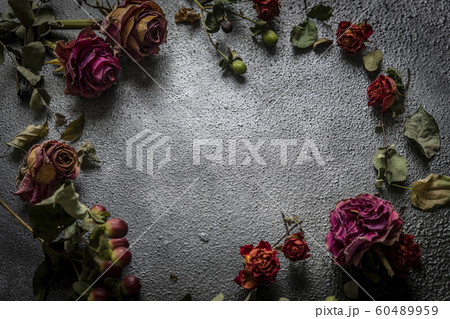 ドライフラワー(薔薇、ユーカリ、ヒペリカム) ドライフラワー(薔薇、ユーカリ、ヒペリカム) 60489959