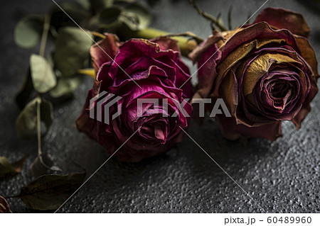 ドライフラワー（薔薇、ユーカリ） 60489960
