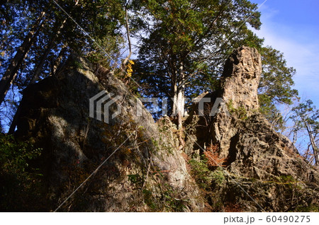 東京青梅御岳山の秋はこんな感じ 60490275