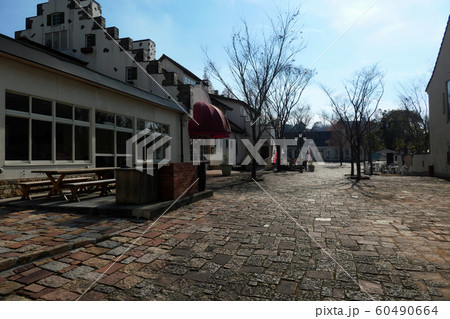 ドイツの森 60490664