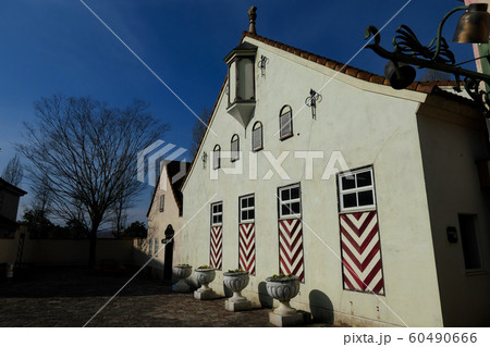 ドイツの森 60490666