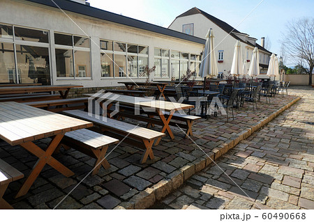 ドイツの森 60490668