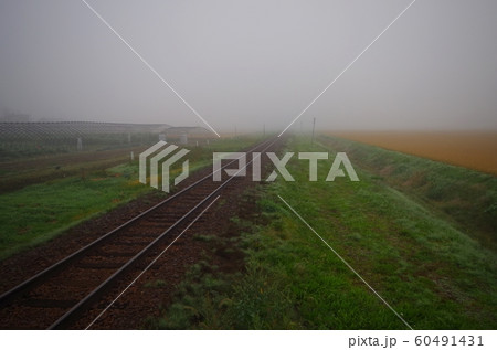 霧と単線の線路 60491431