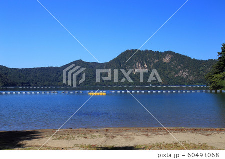 ヒメマス生息地 沼沢湖 ヒメマス生息地 沼沢湖 60493068