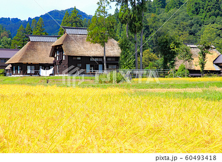 茅葺の里 60493418