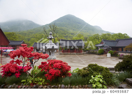 韓国 コピースペース デスクトップ 60493687