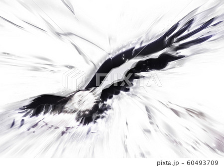 羽ばたく抽象的な鳥のイラスト素材 60493709 Pixta