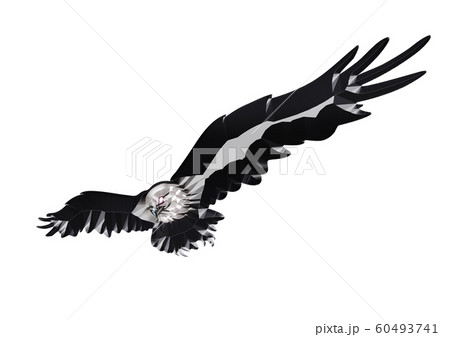 羽ばたく抽象的な鳥 羽ばたく抽象的な鳥 60493741