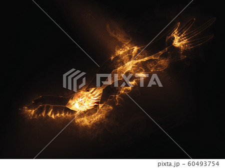羽ばたく抽象的な火の鳥 60493754