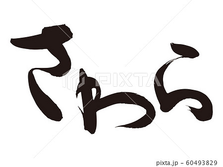 さわら　鰆　筆文字 60493829