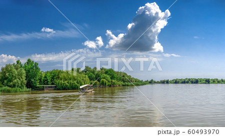 Danube River near the village of Vilkovo, Ukraine Danube River near the village of Vilkovo, Ukraine 60493970
