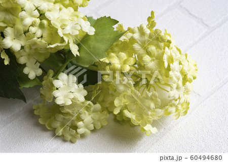 ビバーナム・スノーボールの造花 60494680