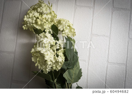 ビバーナム・スノーボールの造花 ビバーナム・スノーボールの造花 60494682