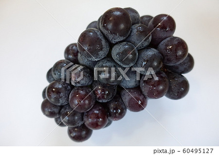 ブドウ　ブラック・オリンピア 60495127