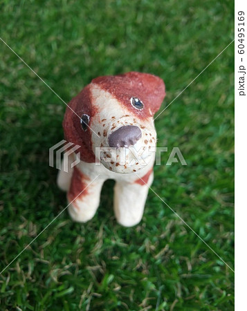 ブリタニースパニエル 首をかしげる犬 60495169