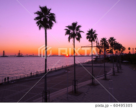 黄昏染まりゆく六甲アイランドマリンパーク、コンテナヤード群 黄昏染まりゆく六甲アイランドマリンパーク、コンテナヤード群 60495305