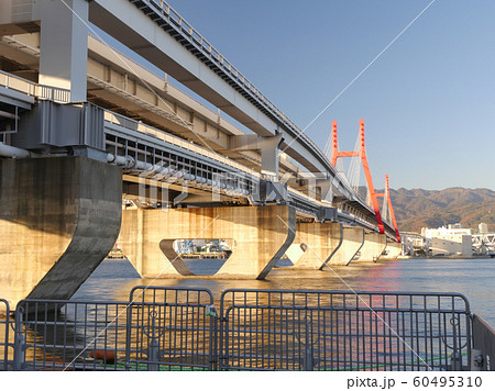 六甲大橋(六甲アイランド北公園より) 六甲大橋(六甲アイランド北公園より) 60495310