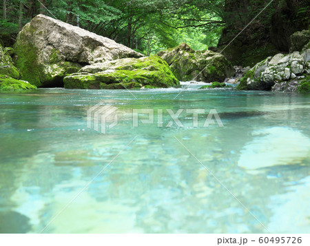 水の流れ　円原川　伏流水　岐阜県　日本 60495726