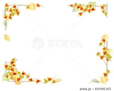 ツルウメモドキのフレーム 60496165
