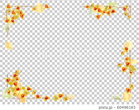 ツルウメモドキのフレーム 60496165