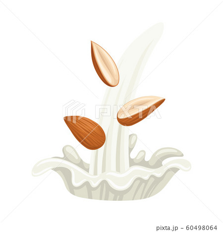 Raw Peeled Almond Nut with Splash of Milk Vector Illustration Raw Peeled Almond Nut with Splash of Milk Vector Illustration 60498064