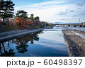 宇治川、塔の島から宇治橋へ向かって 60498397