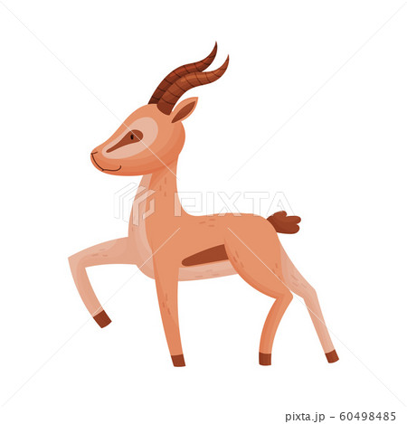 gazelle standing