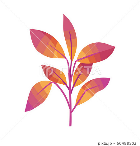Decorative Plant Element Isolated on White Background 60498502