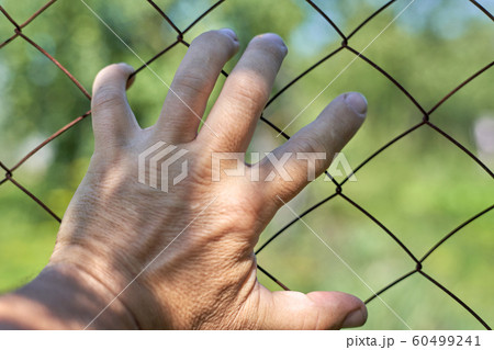 Palm, close-up, fingers clenching the metal bars 60499241
