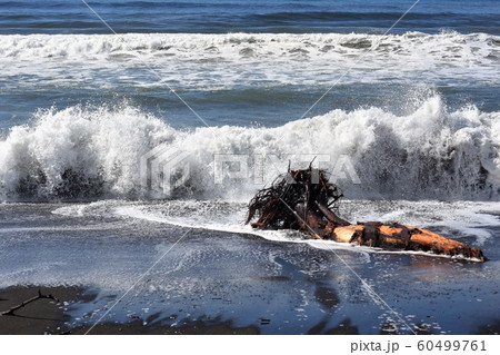 北海道 海 波 流木 素材 流木と白い波の写真素材