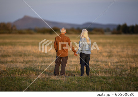 Couple holding hands in field at sunset in Picabo, Idaho, USA 60500630