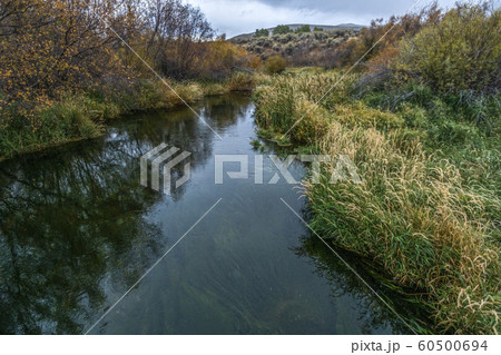 Creek in Picabo, Idaho, USA 60500694