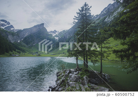 Seealpsee lake in Appenzell Alps, Switzerland 60500752