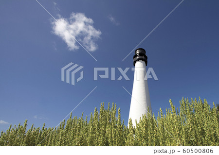 White lighthouse against sky in Key Biscayne, Florida, USA White lighthouse against sky in Key Biscayne, Florida, USA 60500806