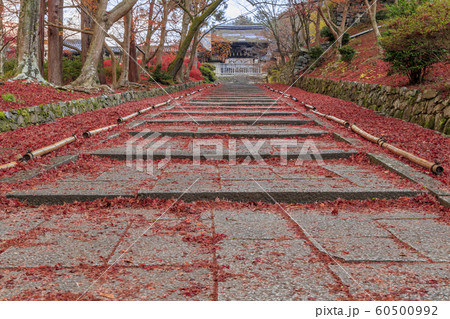 毘沙門堂 紅葉 毘沙門堂 紅葉 60500992