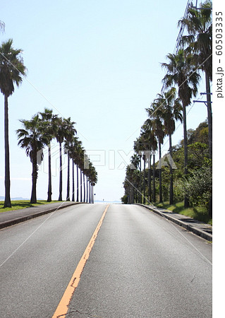 西浦シーサイドロード　シーサイド　シーサイドロード 60503335