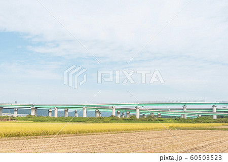ジャンクション　高速道路　高架橋　橋脚　土木 60503523
