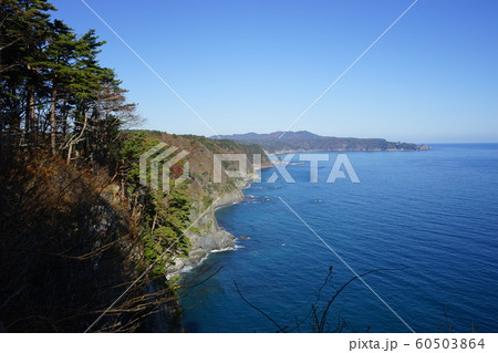 鵜の巣断崖の秋 60503864