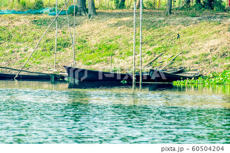 Bird watching rowing boats on the shore of wetland of Chupir Chor oxbow lake 60504204